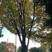 みずき おはよう 西川口おかあさん