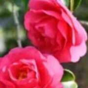 ヒメ日記 2025/12/19 09:16 投稿 みずき 西川口おかあさん