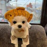 みずき 明日 西川口おかあさん