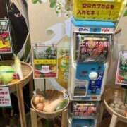 ヒメ日記 2025/08/19 20:26 投稿 ふゆみ 西川口おかあさん