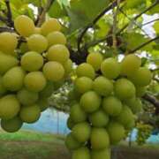 ヒメ日記 2025/10/19 17:56 投稿 ふゆみ 西川口おかあさん