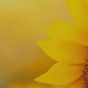 ヒメ日記 2025/07/17 01:41 投稿 かのん 西川口おかあさん