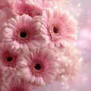 ヒメ日記 2025/08/20 16:56 投稿 かのん 西川口おかあさん