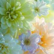 ヒメ日記 2025/10/03 13:38 投稿 かのん 西川口おかあさん