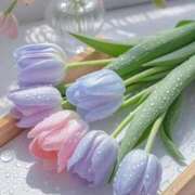 ヒメ日記 2026/03/31 15:26 投稿 かのん 西川口おかあさん