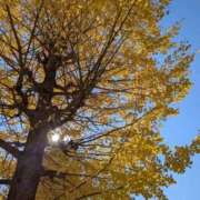 ヒメ日記 2025/11/17 17:16 投稿 むつみ 西川口おかあさん