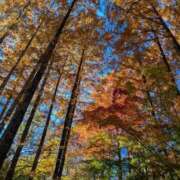 むつみ 🟣ご無沙汰してます🟣 西川口おかあさん