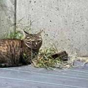 ヒメ日記 2025/10/09 10:26 投稿 すみれ 西川口おかあさん