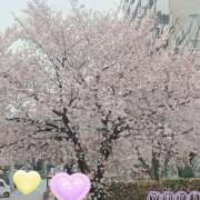 ヒメ日記 2026/04/07 12:33 投稿 ゆり 西川口おかあさん