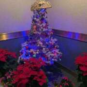 ヒメ日記 2025/12/11 22:36 投稿 くるみ 西川口おかあさん