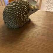 ヒメ日記 2026/01/12 22:26 投稿 くるみ 西川口おかあさん