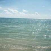 ヒメ日記 2025/08/11 10:30 投稿 ふゆ 胡蝶蘭