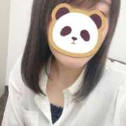 ヒメ日記 2025/08/11 20:19 投稿 ふゆ 胡蝶蘭