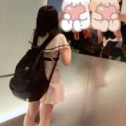 ヒメ日記 2025/08/30 11:28 投稿 ふゆ 胡蝶蘭