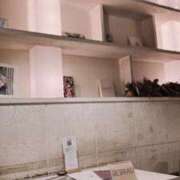 ヒメ日記 2025/08/30 21:36 投稿 ふゆ 胡蝶蘭