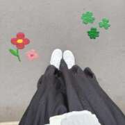 ヒメ日記 2025/10/13 10:36 投稿 ふゆ 胡蝶蘭