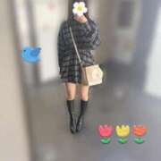 ヒメ日記 2025/11/07 11:21 投稿 ふゆ 胡蝶蘭