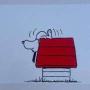 ヒメ日記 2025/11/14 10:05 投稿 ふゆ 胡蝶蘭