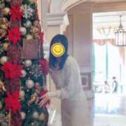 ヒメ日記 2025/12/19 23:24 投稿 ふゆ 胡蝶蘭