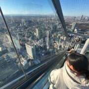 ふゆ 新年初出勤🌟 胡蝶蘭