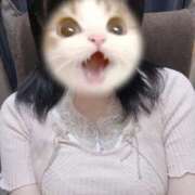 ヒメ日記 2025/08/06 01:20 投稿 せいな SPIN(スピン)