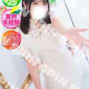 ヒメ日記 2025/09/30 04:20 投稿 せいな SPIN(スピン)