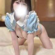 ヒメ日記 2025/08/28 07:43 投稿 しいな BLUE BIRD (ブルーバード) 上越