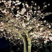 ヒメ日記 2026/03/30 18:58 投稿 りお 実録！おとなのわいせつ倶楽部