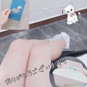 ヒメ日記 2025/08/25 22:52 投稿 めい Muse（ミューズ）