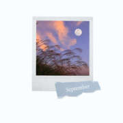 ヒメ日記 2025/09/01 07:52 投稿 めい Muse（ミューズ）