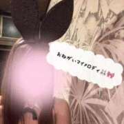 ヒメ日記 2025/10/25 13:36 投稿 れい 快楽玉乱堂