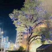 ヒメ日記 2025/11/27 17:16 投稿 ひまり 快楽玉乱堂