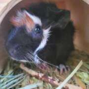 ヒメ日記 2025/07/19 14:28 投稿 朝日-あさひ【FG系列】 ほんとうの人妻 横浜本店