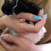 ヒメ日記 2025/07/27 11:25 投稿 朝日-あさひ【FG系列】 ほんとうの人妻 横浜本店