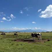 ヒメ日記 2025/08/19 20:09 投稿 あいか レモンカフェ