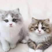 ヒメ日記 2025/08/02 13:31 投稿 のあ 素人妻御奉仕倶楽部Hip's取手店