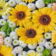 ヒメ日記 2025/08/16 23:31 投稿 のあ 素人妻御奉仕倶楽部Hip's取手店