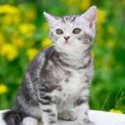 ヒメ日記 2025/08/20 22:21 投稿 のあ 素人妻御奉仕倶楽部Hip's取手店