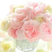 ヒメ日記 2025/08/26 02:01 投稿 のあ 素人妻御奉仕倶楽部Hip's取手店