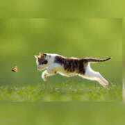 ヒメ日記 2025/08/27 13:11 投稿 のあ 素人妻御奉仕倶楽部Hip's取手店