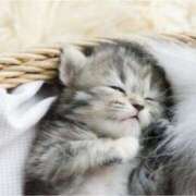 ヒメ日記 2025/09/15 19:31 投稿 のあ 素人妻御奉仕倶楽部Hip's取手店