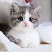 ヒメ日記 2025/09/24 20:11 投稿 のあ 素人妻御奉仕倶楽部Hip's取手店