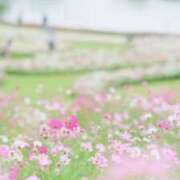 ヒメ日記 2025/09/28 01:21 投稿 のあ 素人妻御奉仕倶楽部Hip's取手店