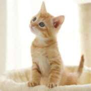 ヒメ日記 2025/10/05 10:02 投稿 のあ 素人妻御奉仕倶楽部Hip's取手店