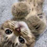 ヒメ日記 2025/10/08 22:21 投稿 のあ 素人妻御奉仕倶楽部Hip's取手店