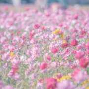 のあ いじめられちゃった😍 素人妻御奉仕倶楽部Hip's取手店