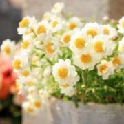 のあ 言葉責めにドキドキしました❤️ 素人妻御奉仕倶楽部Hip's取手店