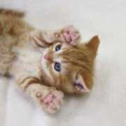 のあ のあです🥳 素人妻御奉仕倶楽部Hip's取手店