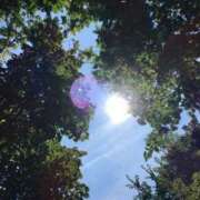 ヒメ日記 2025/08/16 08:16 投稿 わかな お姉さんSelect