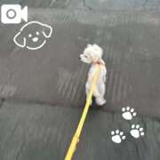 ヒメ日記 2025/09/17 23:16 投稿 わかな お姉さんSelect